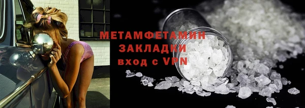 ПСИЛОЦИБИНОВЫЕ ГРИБЫ Богданович