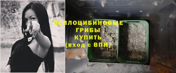 альфа пвп Богородицк