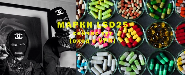 ПСИЛОЦИБИНОВЫЕ ГРИБЫ Богданович