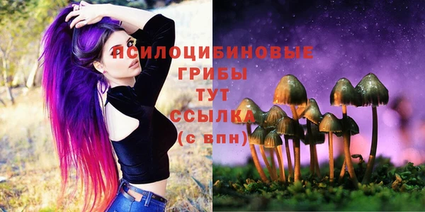 бошки Богородск