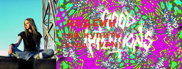 ПСИЛОЦИБИНОВЫЕ ГРИБЫ Богданович
