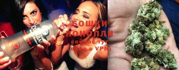 ПСИЛОЦИБИНОВЫЕ ГРИБЫ Богданович