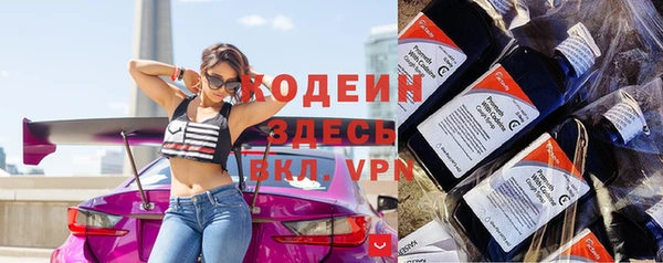 ПСИЛОЦИБИНОВЫЕ ГРИБЫ Богданович