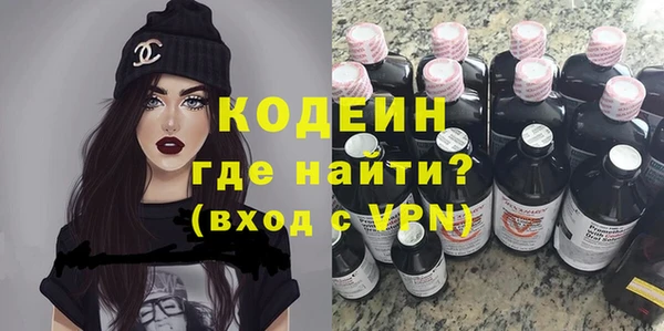 ПСИЛОЦИБИНОВЫЕ ГРИБЫ Богданович