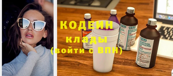 ПСИЛОЦИБИНОВЫЕ ГРИБЫ Богданович
