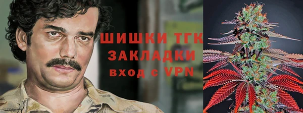 ПСИЛОЦИБИНОВЫЕ ГРИБЫ Богданович