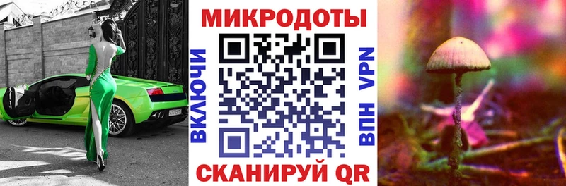 Псилоцибиновые грибы MAGIC MUSHROOMS  Купить закладки  Нижний Ломов 